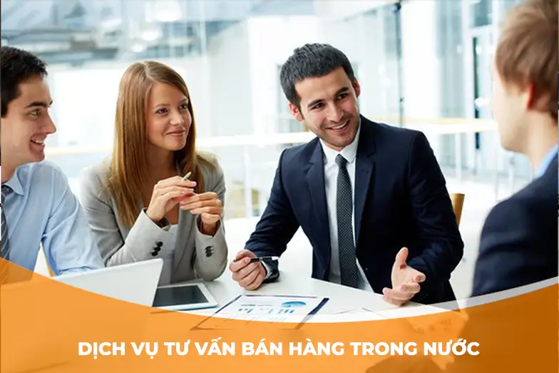 dich-vu-tu-van-ban-hang-trong-nuoc-tai-rison (1)